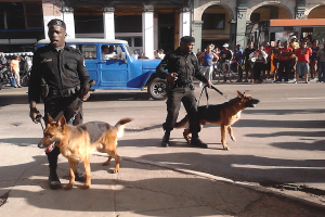 Imagen suministrada por Juliet Michelena Dáiz, como parte de un fotorreportaje donde denunció el abuso de la policía con perros en la vía pública_archivo de Cubanet