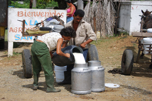Distribución de leche en cooperativa agropecuaria, Cuba_foto tomada de internet