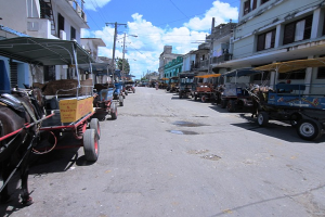 Cocheros en Cienfuegos paralizan transporte público_foto cortesía de los autores