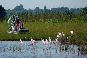 Everglades, Florida_archivo