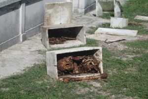Cementerio de Cabañas, este último miércoles_foto de Moisés Leonardo