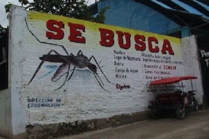 Campaña contra el mosquito Aedes aegiptys, trasmisor del dengue, Cuba_archivo