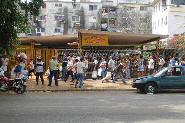 Cola para comprar papa en el Mercado Agropecuario Tulipán y Bellavista (foto del autor)