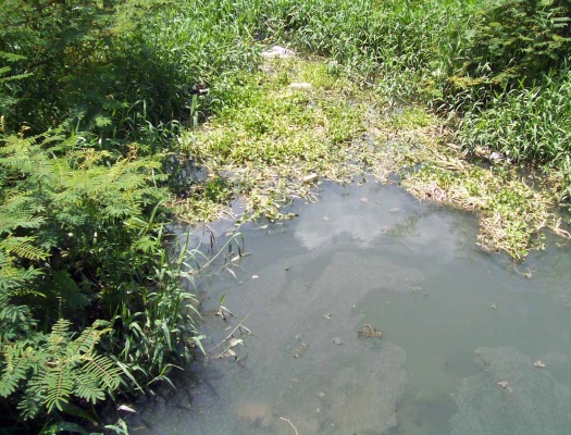 Las industrias cercanas a la presa Ejército Rebelde vierten sus desechos al agua (foto del autor)