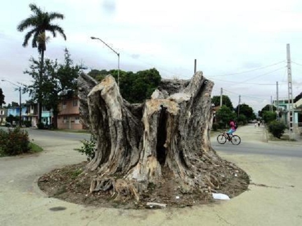 Estos son los restos del jagüey de La Avenida C. Cienfuegos y M. Gómez (foto del autor)