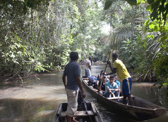 Los migrantes atraviesan la selva panameña como parte de su viaje a EE.UU. (foto tomada de internet)