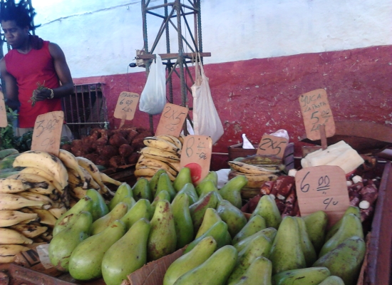 Tarima del mercado de Egido (Foto: Orlando Freire)