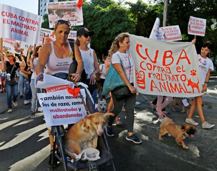 Varias personas participaron este domingo en una marcha en contra del maltrato animal en Cuba
