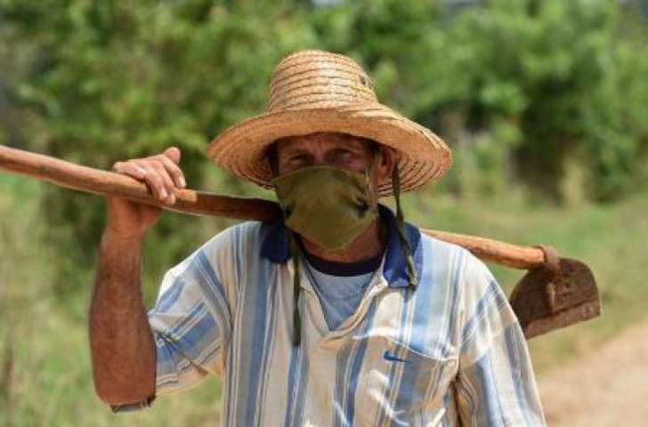 Cuba, Agricultura, Sin campo no hay país 