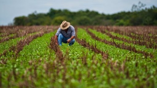 Ley de Reforma Agraria, Agricultura, Cuba