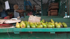 precios, agromercados, Cuba
