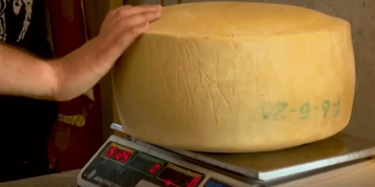 El delito de fabricar queso en Cuba
