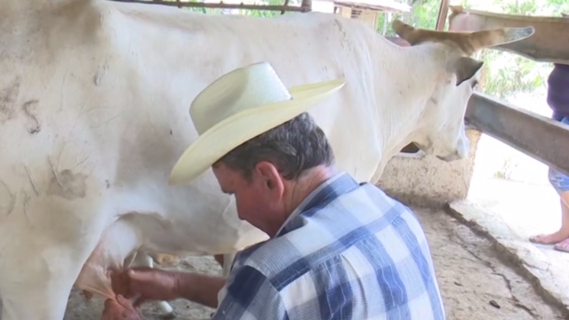 leche escasez Cuba
