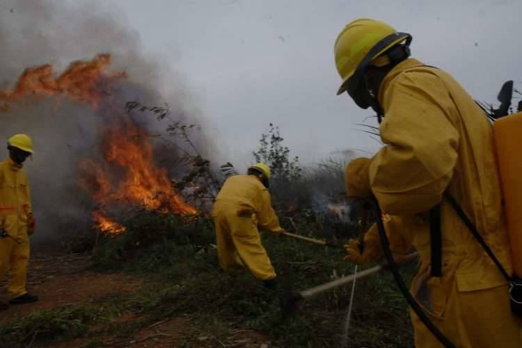 Incendio Forestal en Cuba, Pinar del Río