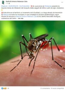 dengue, matanzas, mosquito