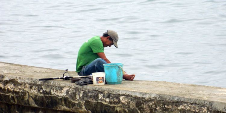 pescador, pescado, Cuba