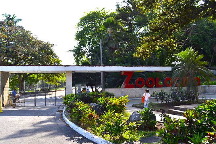 Jardín Zoológico de La Habana, Gripe Aviar