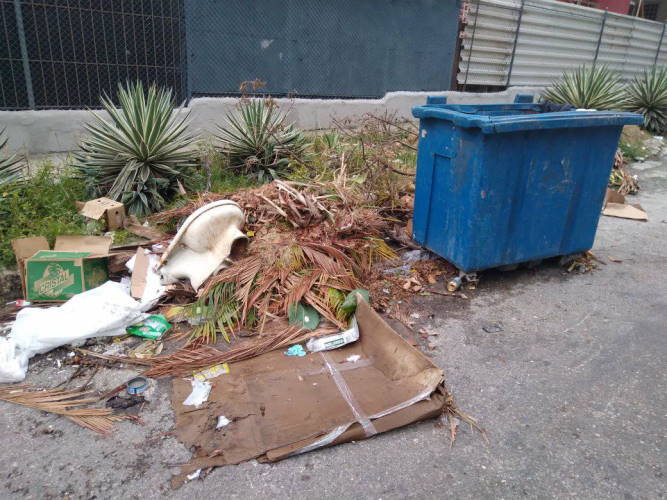 Garbage not collected in Havana
