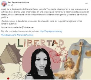 Red Femenina de Cuba, Brenda Díaz, 