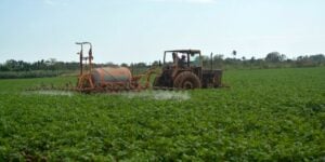 Cuba, agricultura