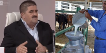 Manuel Sobrino Martínez, Cuba, industria alimentaria, leche