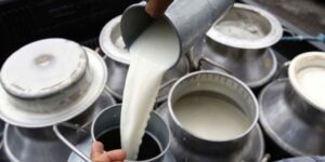 Producción de leche en Cuba, Precios topados